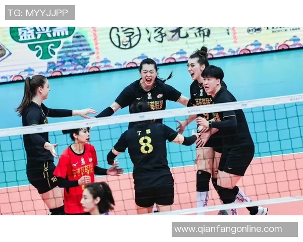 2012年辽宁女排与恒女排激战回顾：巅峰对决的荣耀与挑战